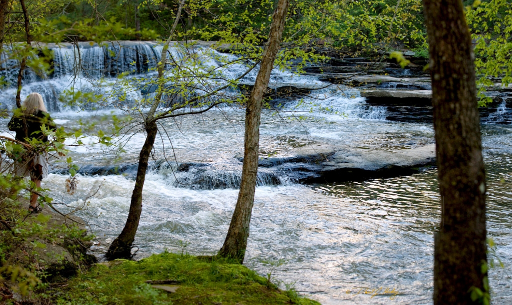 Cascades Panorama